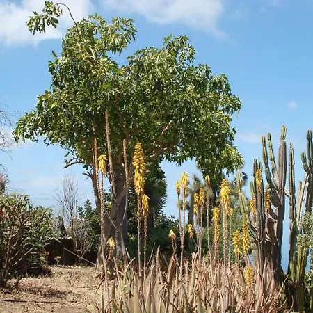 Pura Vida El Paso